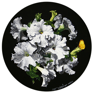 thumbnail of Petunias